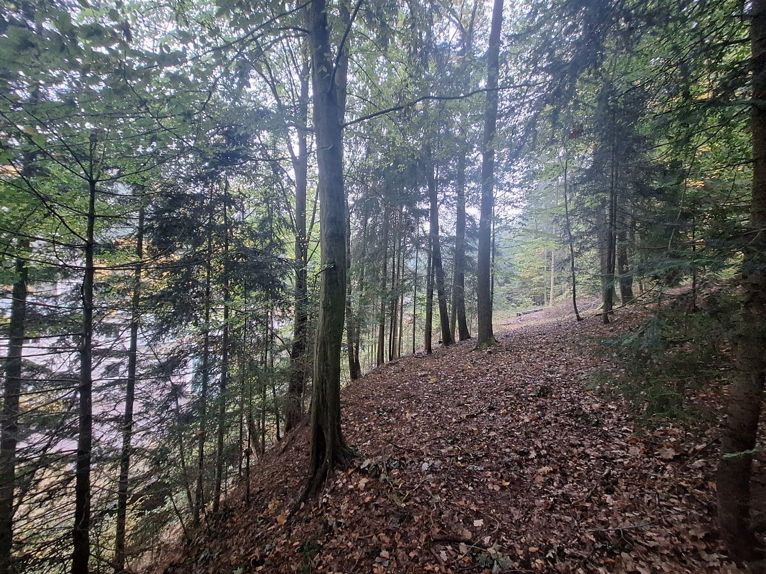 Malý les v Novém Městě nad Metují - obrázek č.6